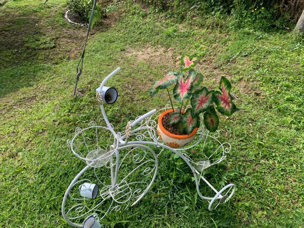 Cabana En Boquia サレント エクステリア 写真
