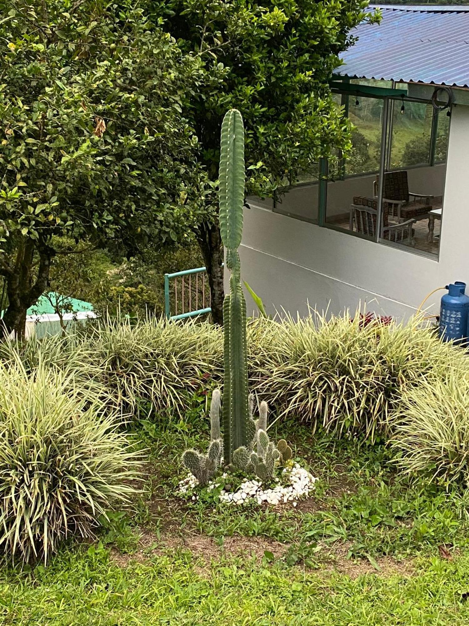 Cabana En Boquia サレント エクステリア 写真